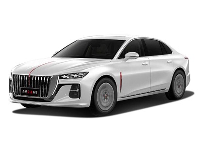 Коврики на Hongqi H5 II 2022 - 2025 в Туле