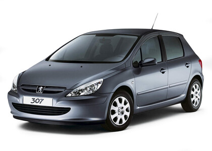 Коврики на Peugeot 307 2001 - 2008 в Туле