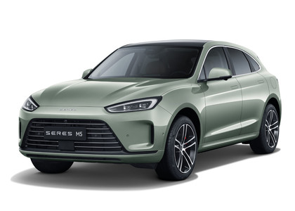 EVA коврики на Seres M5 2021 - 2025 в Туле