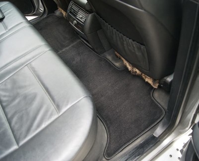 Коврики на BMW X5 (E53) 1999 - 2006 в Туле