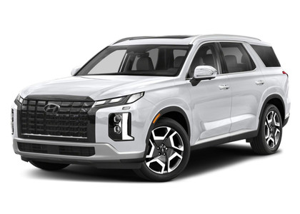 Коврики на Hyundai Palisade 2018 - 2025 в Туле