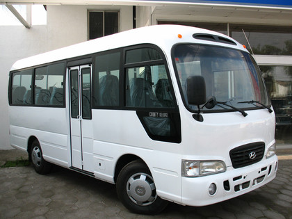 Коврики на Hyundai County 2006 - 2016 в Туле