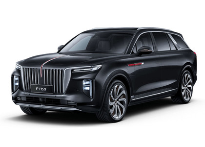 Коврики на Hongqi E-HS9 2022 - 2025 в Туле