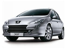 Коврики на Peugeot 307 2001 - 2008 в Туле