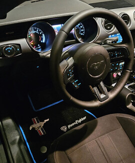 Ворсовые коврики на Ford Mustang VI 2013 - 2023 в Туле Ворсовые коврики на Ford Mustang VI 2013 - 2023 в Туле