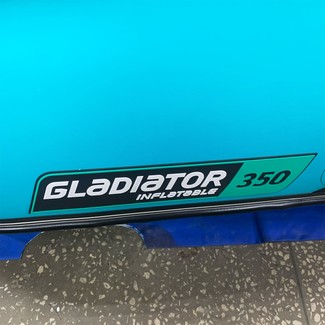 Коврики на Лодки Gladiator E350S  в Туле