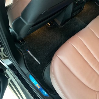 Коврики на BMW X5 (G05/G18) 2018 - 2025 в Туле